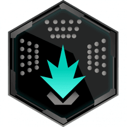 Engineer medal