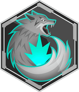 Scout Controller medal
