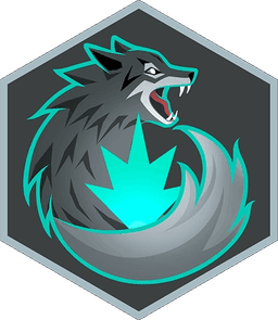 Scout Controller medal