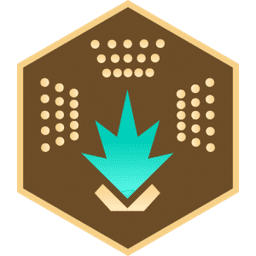 Engineer medal