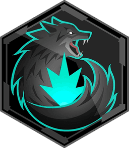 Scout Controller medal